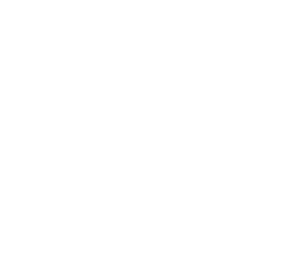 x bg